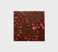 Load image into Gallery viewer, Red Berries Chocolate 49%