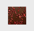 Lataa kuva gallerian katseluohjelmaan, Punaisten marjojen suklaa 49%
